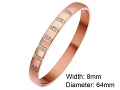 HY Wholesale Stainless Steel 316L Fashion Bangle-HY0076B217