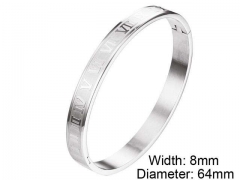 HY Wholesale Stainless Steel 316L Fashion Bangle-HY0076B089