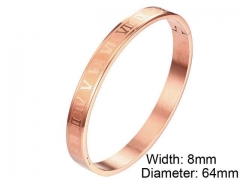 HY Wholesale Stainless Steel 316L Fashion Bangle-HY0076B090