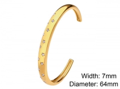 HY Wholesale Stainless Steel 316L Fashion Bangle-HY0076B077