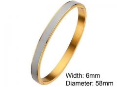 HY Wholesale Stainless Steel 316L Fashion Bangle-HY0076B034