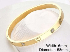 HY Wholesale Stainless Steel 316L Fashion Bangle-HY0076B070