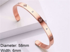 HY Wholesale Stainless Steel 316L Fashion Bangle-HY0076B017