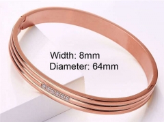 HY Wholesale Stainless Steel 316L Fashion Bangle-HY0076B312