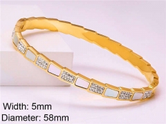 HY Wholesale Stainless Steel 316L Fashion Bangle-HY0076B159