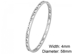 HY Wholesale Stainless Steel 316L Fashion Bangle-HY0076B062