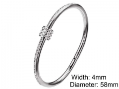 HY Wholesale Stainless Steel 316L Fashion Bangle-HY0076B193