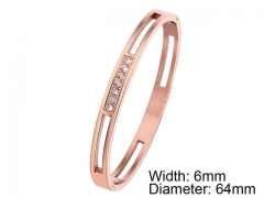 HY Wholesale Stainless Steel 316L Fashion Bangle-HY0076B223