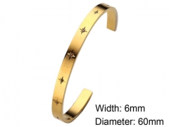 HY Wholesale Stainless Steel 316L Fashion Bangle-HY0076B233