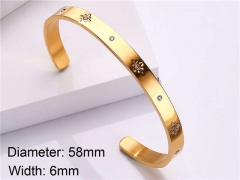 HY Wholesale Stainless Steel 316L Fashion Bangle-HY0076B016