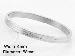 HY Wholesale Stainless Steel 316L Fashion Bangle-HY0076B305