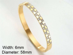 HY Wholesale Stainless Steel 316L Fashion Bangle-HY0076B013