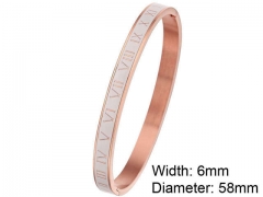 HY Wholesale Stainless Steel 316L Fashion Bangle-HY0076B180