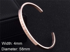 HY Wholesale Stainless Steel 316L Fashion Bangle-HY0076B297