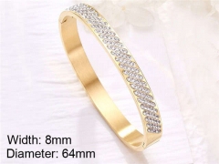 HY Wholesale Stainless Steel 316L Fashion Bangle-HY0076B167