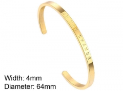 HY Wholesale Stainless Steel 316L Fashion Bangle-HY0076B302