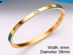 HY Wholesale Stainless Steel 316L Fashion Bangle-HY0076B091