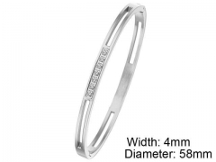 HY Wholesale Stainless Steel 316L Fashion Bangle-HY0076B219