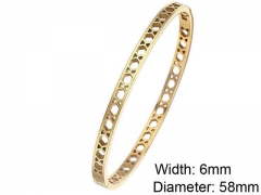 HY Wholesale Stainless Steel 316L Fashion Bangle-HY0076B058