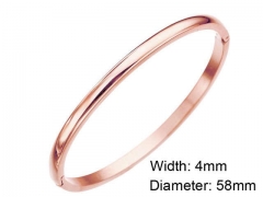 HY Wholesale Stainless Steel 316L Fashion Bangle-HY0076B069