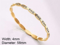 HY Wholesale Stainless Steel 316L Fashion Bangle-HY0076B173