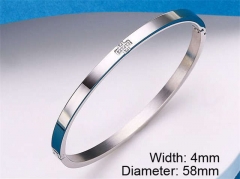HY Wholesale Stainless Steel 316L Fashion Bangle-HY0076B092