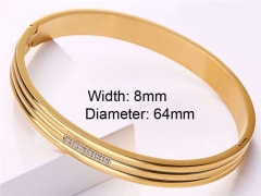 HY Wholesale Stainless Steel 316L Fashion Bangle-HY0076B310