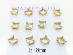 HY Wholesale 316L Stainless Steel Popular Jewelry Earrings-HY59E0988INT
