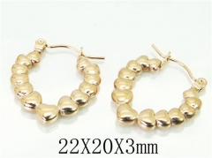 HY Wholesale 316L Stainless Steel Popular Jewelry Earrings-HY70E0504LA