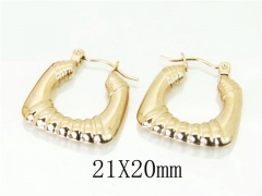 HY Wholesale 316L Stainless Steel Popular Jewelry Earrings-HY70E0524LE
