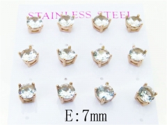HY Wholesale 316L Stainless Steel Popular Jewelry Earrings-HY59E1003IPQ