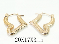 HY Wholesale 316L Stainless Steel Popular Jewelry Earrings-HY70E0519LT