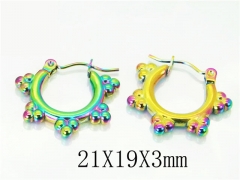 HY Wholesale 316L Stainless Steel Popular Jewelry Earrings-HY70E0500LB