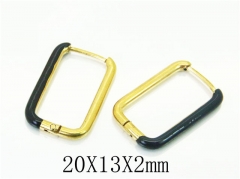 HY Wholesale 316L Stainless Steel Popular Jewelry Earrings-HY70E0488KLG