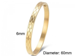 HY Wholesale Bangles Stainless Steel 316L Fashion Bangles-HY0090B0299