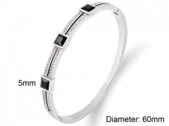 HY Wholesale Bangles Stainless Steel 316L Fashion Bangles-HY0090B1046