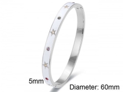 HY Wholesale Bangles Stainless Steel 316L Fashion Bangles-HY0090B0072