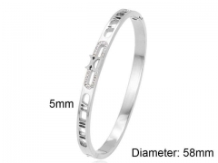 HY Wholesale Bangles Stainless Steel 316L Fashion Bangles-HY0090B0372