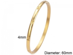 HY Wholesale Bangles Stainless Steel 316L Fashion Bangles-HY0090B0215