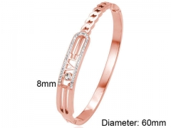 HY Wholesale Bangles Stainless Steel 316L Fashion Bangles-HY0090B0219