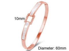 HY Wholesale Bangles Stainless Steel 316L Fashion Bangles-HY0090B0037