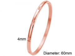 HY Wholesale Bangles Stainless Steel 316L Fashion Bangles-HY0090B0216