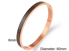 HY Wholesale Bangles Stainless Steel 316L Fashion Bangles-HY0090B0242