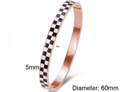 HY Wholesale Bangles Stainless Steel 316L Fashion Bangles-HY0090B0258