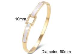 HY Wholesale Bangles Stainless Steel 316L Fashion Bangles-HY0090B0035