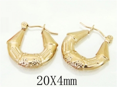 HY Wholesale Earrings 316L Stainless Steel Fashion Jewelry Earrings-HY70E0593LT
