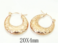 HY Wholesale Earrings 316L Stainless Steel Fashion Jewelry Earrings-HY70E0598LD