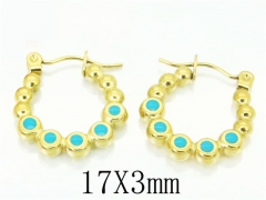 HY Wholesale Earrings 316L Stainless Steel Fashion Jewelry Earrings-HY70E0537MQ