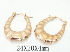HY Wholesale Earrings 316L Stainless Steel Fashion Jewelry Earrings-HY70E0578LF