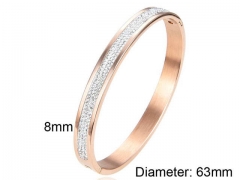 HY Wholesale Bangles Stainless Steel 316L Fashion Bangles-HY0097B166